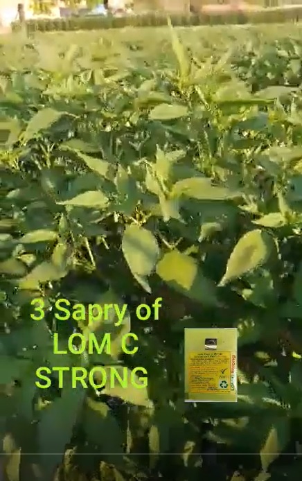 Chiili FB Video dt 30 4 22