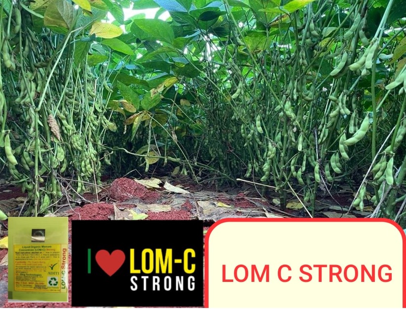 Soya FB VIdeo 26 4 22