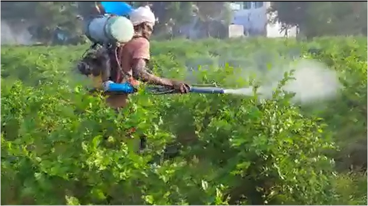 LOM Mix spraying video2