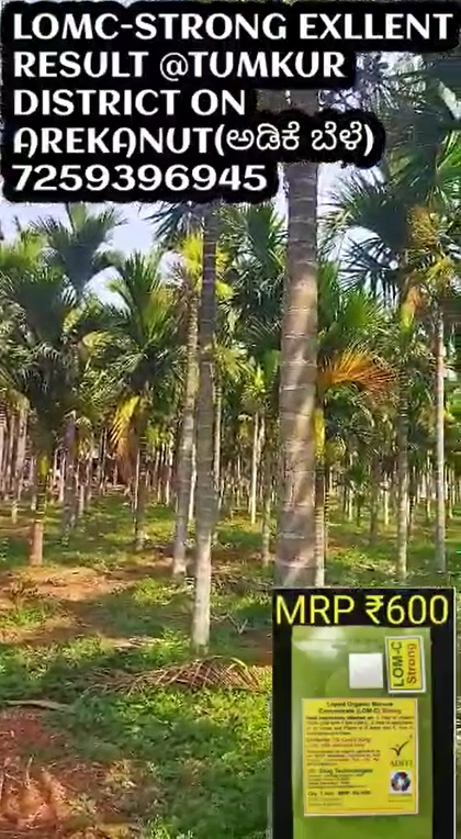 Arcanut Tree FB Video in Kannada 19 3 22