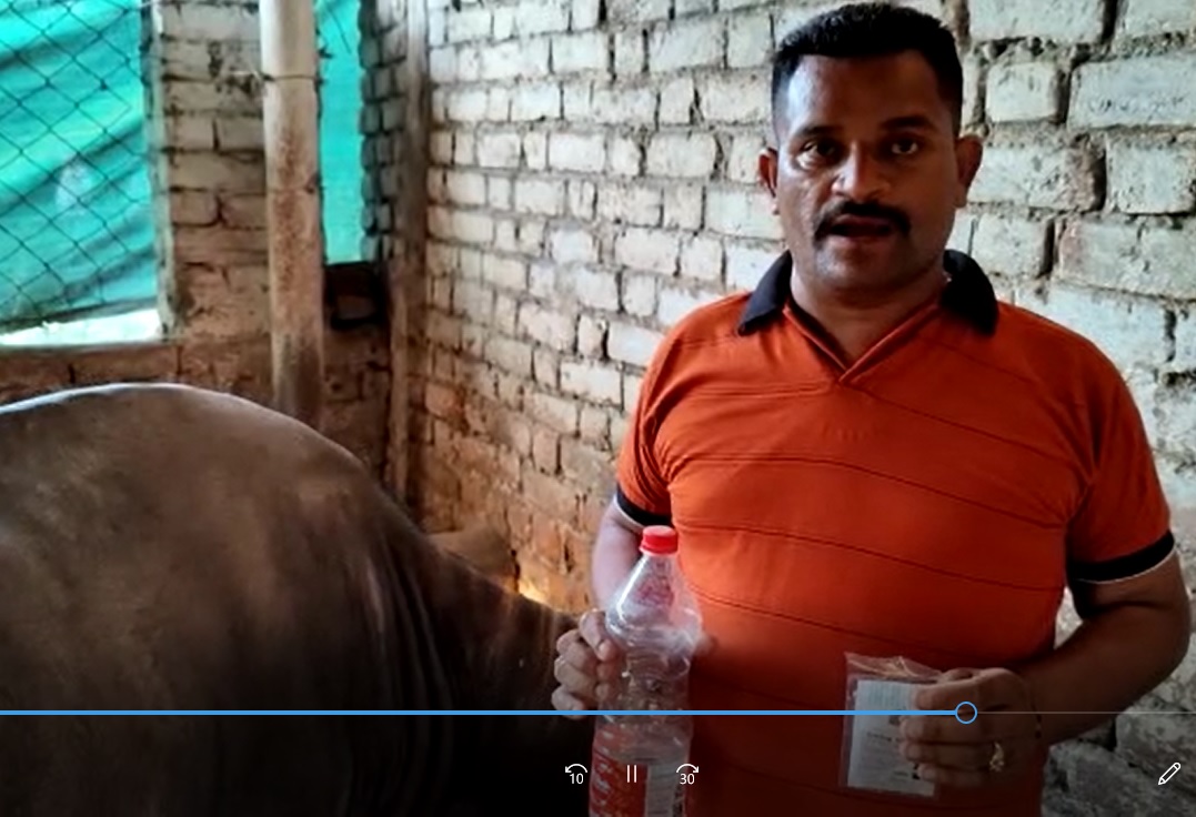 CMB FB Video in Gujarati 11 3 22