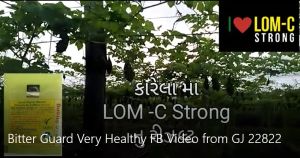 Bitter Guard Very Healthy FB Video from GJ 22822