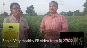 Brinjal Very Healthy FB video from Rj 27822