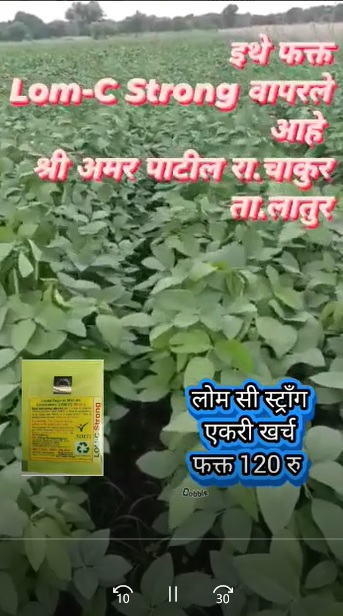 Dealer LOM C Video 14822