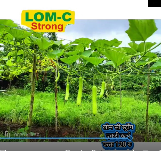 LOM C Dealer Video 5822