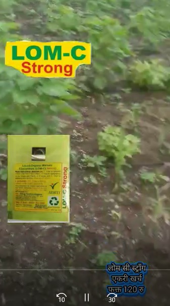 Plants very Health FB Video 5822