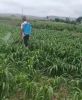 LOM Water mix Spraying Video2 5823R