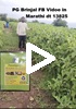 PG Brinjal FB Video in Marathi dt 13825