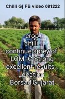 Chilli Gj FB video 081222