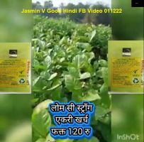 Jasmin V Good Hindi FB Video 011222