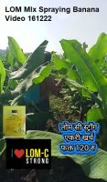 LOM MIx Spraying Banana Video 161222