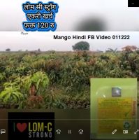 Mango Hindi FB Video 011222