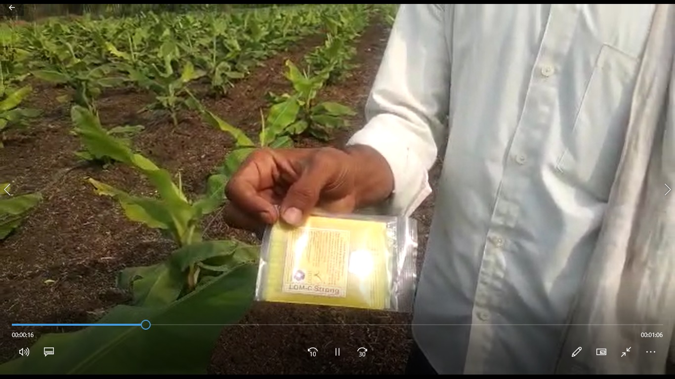 Banana FB Video  6 2 22