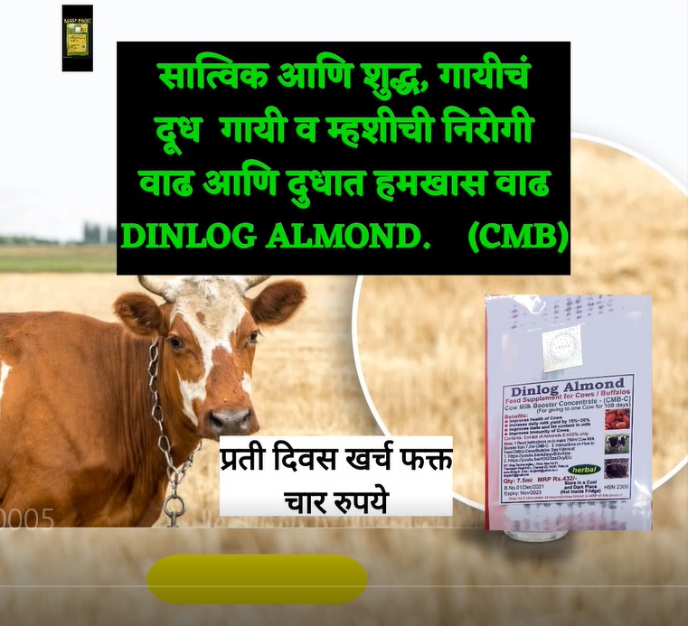 CMB C Dealer Video2 18 2 22