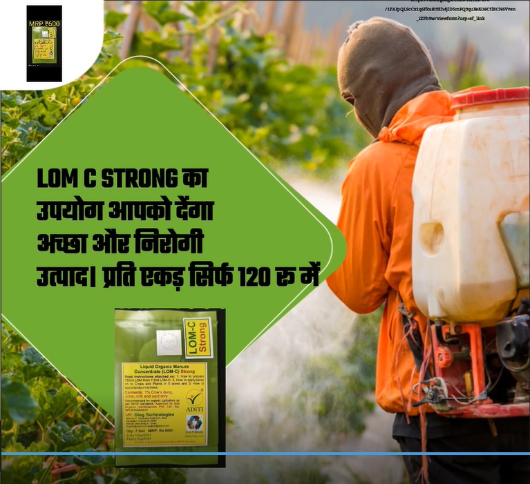 LOM C Strong Dealer Video 12 2 22