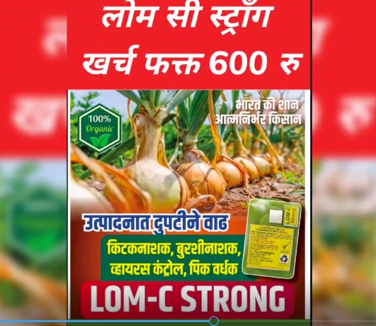 LOM C Strong Dealer Video2 12 2 22