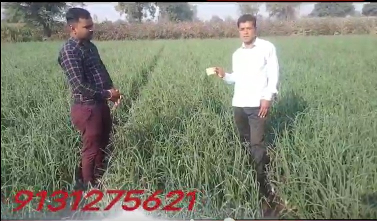 Onion Healthy FB Video 9 2 22