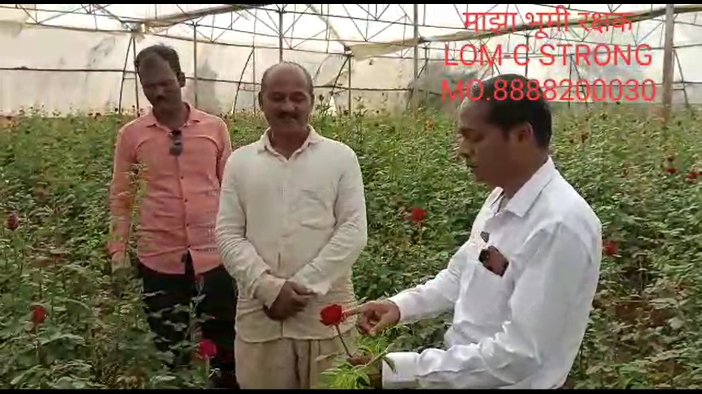 Rose FB video 4 2 22