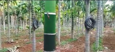 Arcanut Fully Cured Kannda FB Video 25022023