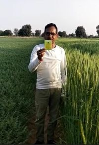 Crops Big Growth Hindi RJ FB Video 28022023