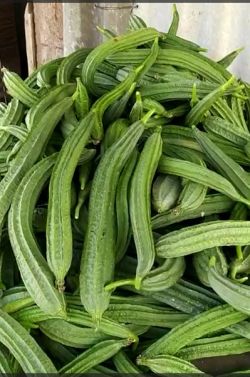 LOM C High Yield Kannada FB Video 13022023