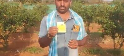 Pomegrante Excellent Results Kannada FB Video 25022023