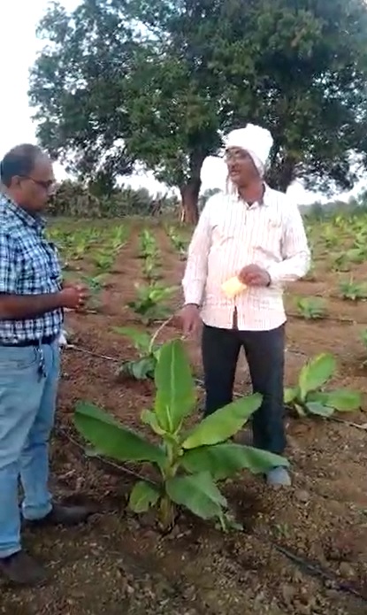 Banana FB Video 11 1 22