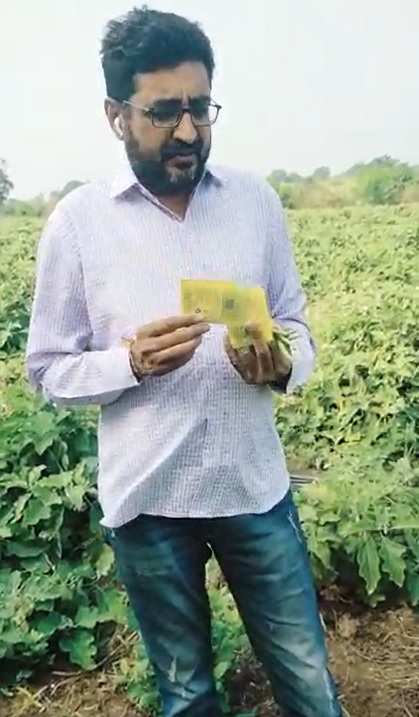 Brinjal FB Video 1 1 22