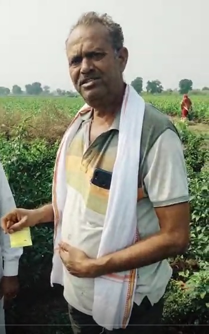 Chilli Virus cured Double yield FB Video  1 1 22