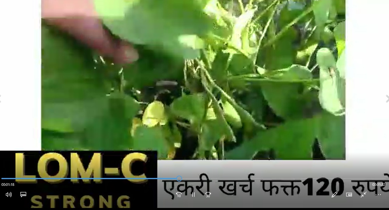 Cluster Beans high Yield Video 23 1 22