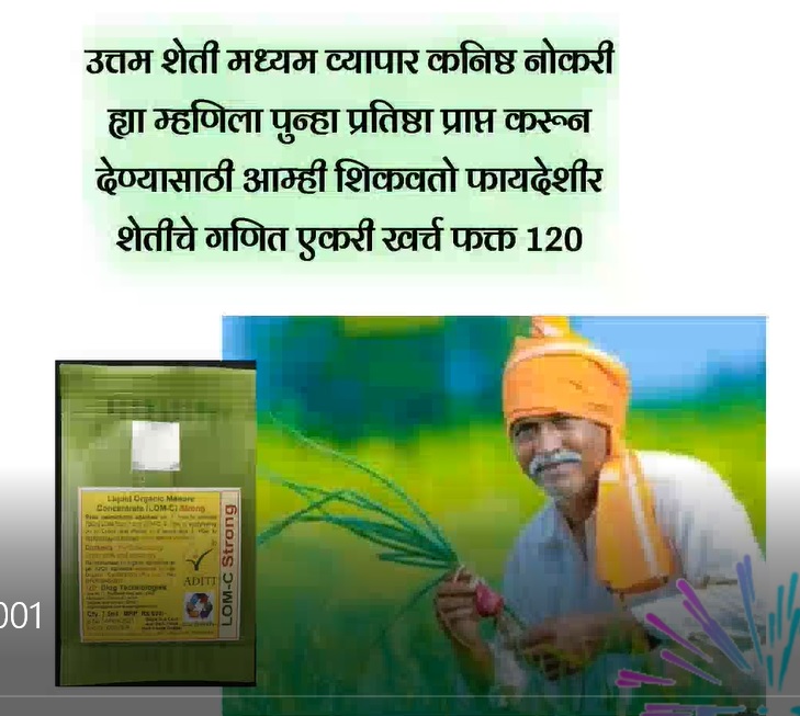 LOM C Strong Dealer video 12 1 22