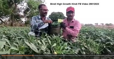 Bindi High Growth Hindi FB Video 29012023