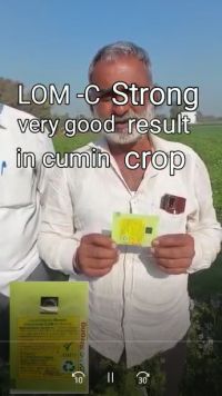 Cumin Hindi FB Video 110123