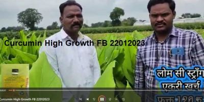 Curcumin High Growth FB 22012023