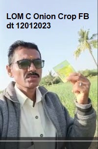 LOM C Onion Crop FB dt 12012023