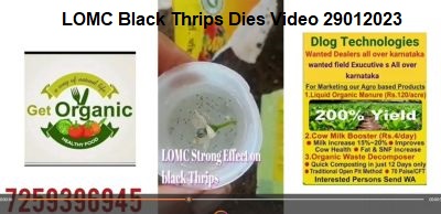 LOMC Black Thrips Dies Video 29012023