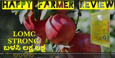 Pomegranate High Yield Kannada FB Video 29012023