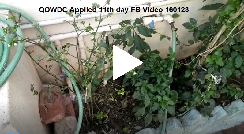 QOWDC Applied 11th day FB Video 160123