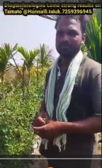 Tomatos Healthy Kannada FB Video 29012023