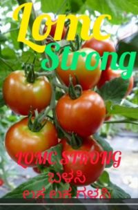 Tomatos very Healthy Kannada FB 29012023