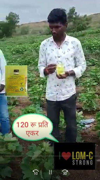 LOM C Good Growth FB Video 11722