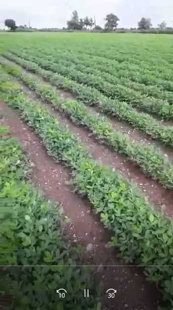 LOM C Good Health FB Video 18722