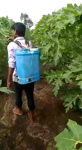 Pappay LOM MIx Spraying Video 3722