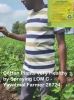 Cotton very healthy Feedback Video from Yavatmal MH Farmer dt 26 7 2024