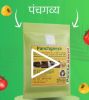PG Marathi dealer video 5725