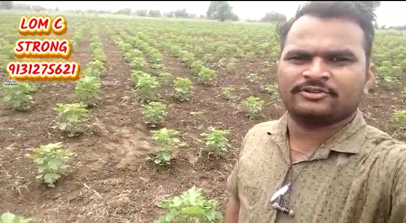 100% Organic LOM C FB Video 28622