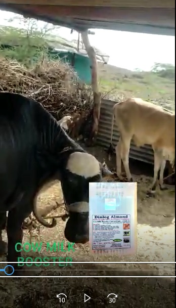 CMB Very good FB Video 29622