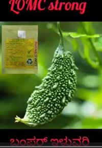 Bitterguard High Yield Kannada FB Video 01032023