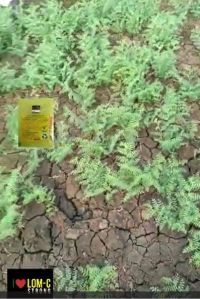 LOM C Hindi FB Video 06032023