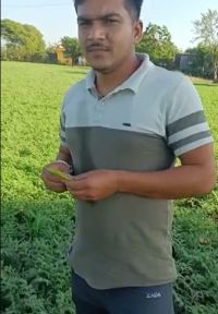 LOM C V Good growth Hindi FB Video 17032023